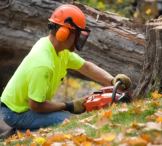 tree services Murray